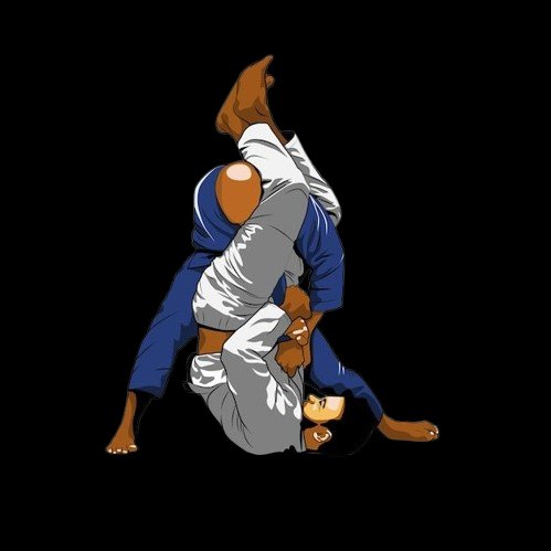 Jiu-Jitsu